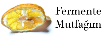 Fermente Mutfağım Logo
